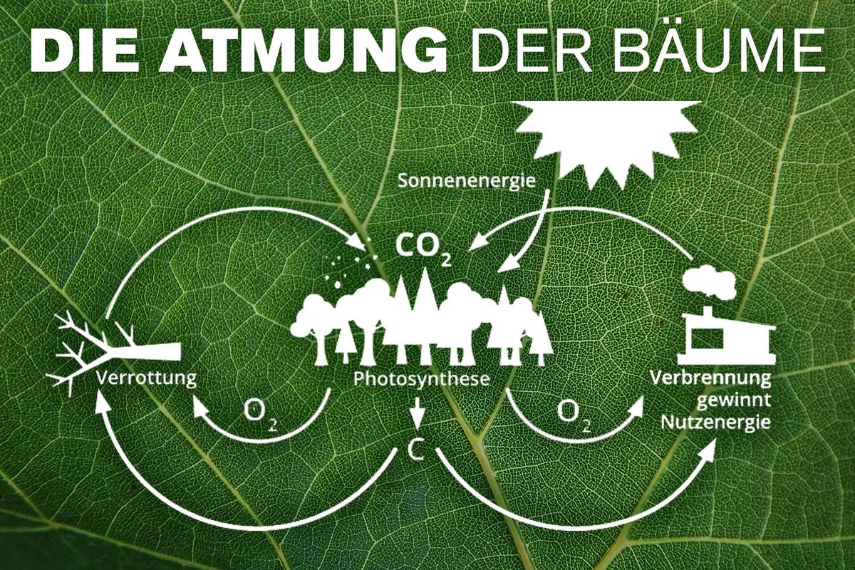 CO² neutraler Anbau